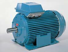 squirrel cage motor